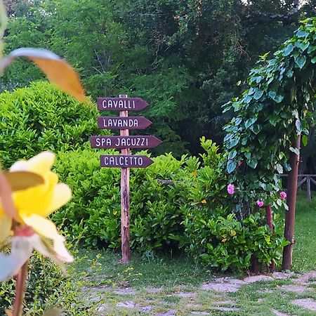 רפולאנו טרמה Agriturismo Podere Poggiarone מראה חיצוני תמונה